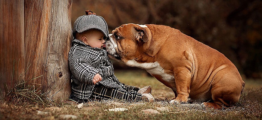малыш и собака