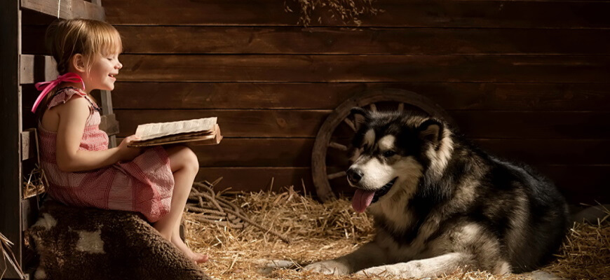 Девочка читает книгу