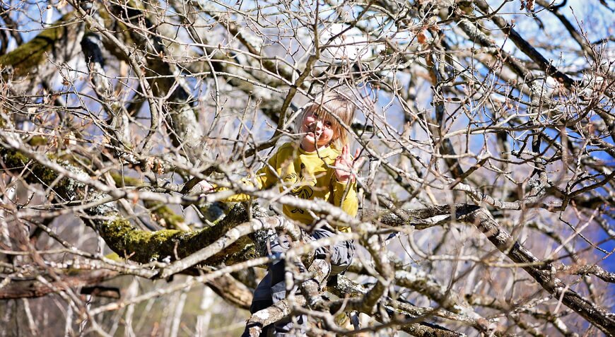 Лазать по деревьям — это развивающее занятие для маленьких